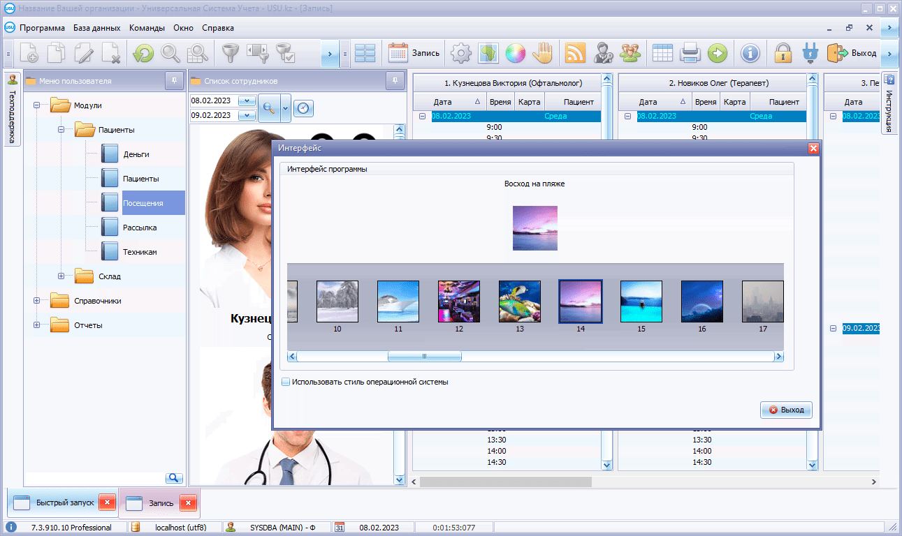 Система клиники включает выбор оформления интерфейса программы
